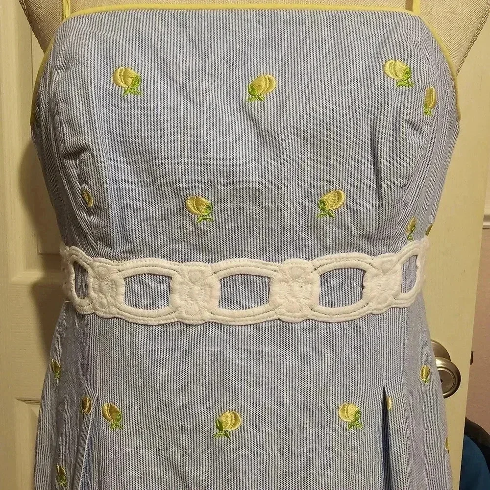 Rare htf Lilly pulitzer home slice betsey dress Size 2 Sleeveless Spaghetti - Picture 4 of 6